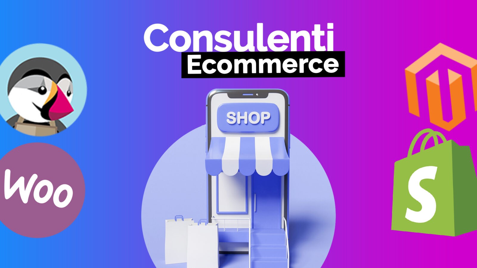 consulenti-e-commerce